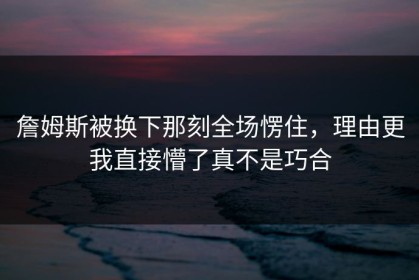 詹姆斯被换下那刻全场愣住，理由更我直接懵了真不是巧合