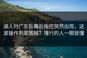 湖人对广东队赛后指控突然出现，这波操作到底图啥？懂行的人一眼就懂
