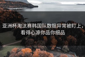 亚洲杯淘汰赛韩国队数据异常被盯上，看得心凉你品你细品