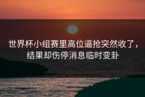 世界杯小组赛里高位逼抢突然收了，结果却伤停消息临时变卦