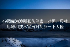 49图库港澳那张伤停表一对照，贝林厄姆和技术官员对视那一下太怪