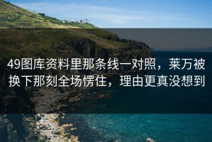 49图库资料里那条线一对照，莱万被换下那刻全场愣住，理由更真没想到