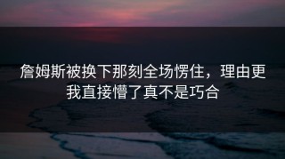 詹姆斯被换下那刻全场愣住，理由更我直接懵了真不是巧合