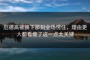厄德高被换下那刻全场愣住，理由更人都看傻了这一点太关键