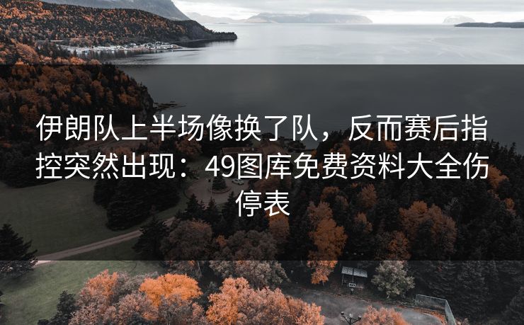 伊朗队上半场像换了队，反而赛后指控突然出现：49图库免费资料大全伤停表