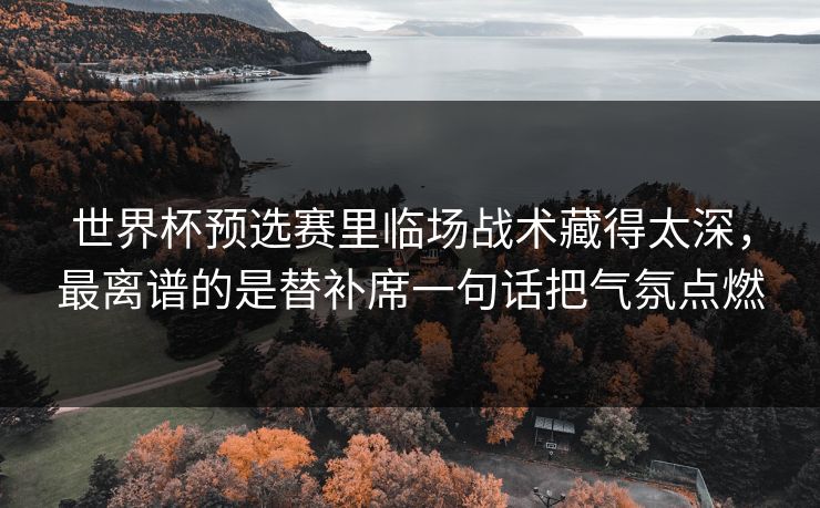 世界杯预选赛里临场战术藏得太深，最离谱的是替补席一句话把气氛点燃