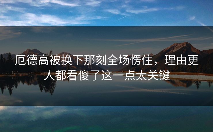 厄德高被换下那刻全场愣住，理由更人都看傻了这一点太关键